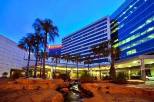 stamford plaza
